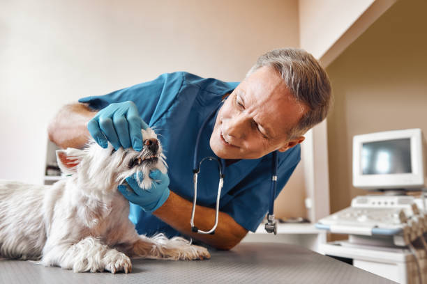 Best Emergency Dental Care for Trauma or Injury in Cape May, NJ